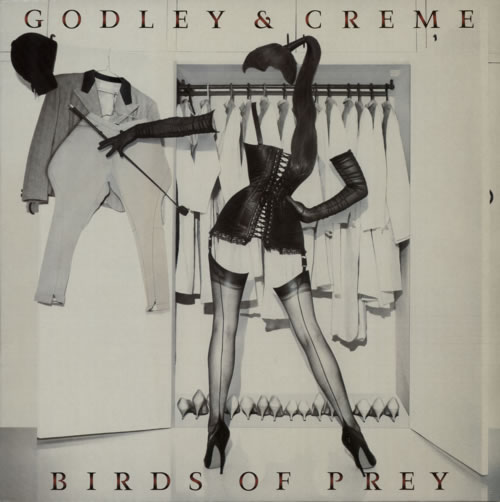 Godley & Creme Birds Of Prey vinyl LP album (LP record) UK G&CLPBI245364