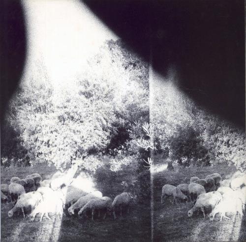 Godspeed You Black Emperor Asunder, Sweet And Other Distress vinyl LP album (LP record) Canadian GACLPAS803746