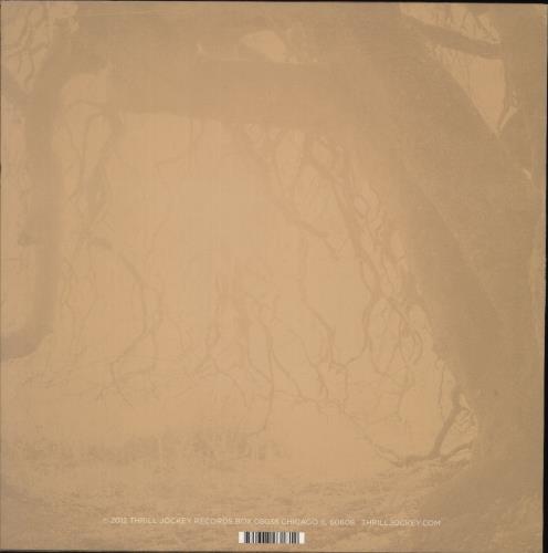 Golden Void Golden Void vinyl LP album (LP record) US -RPLPGO882194