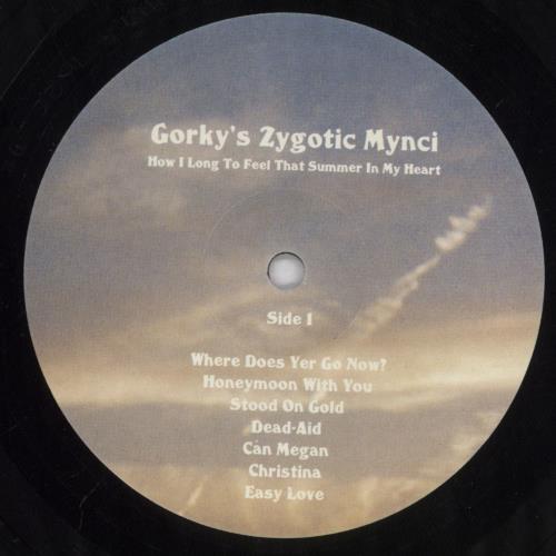 Gorky's Zygotic Mynci How I Long To Feel That Summer In My Heart vinyl LP album (LP record) UK GZMLPHO833408