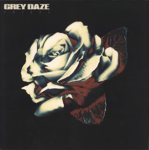 Grey Daze Amends - Deluxe Edition - Black and White on Clear Splatter Vinyl Vinyl Box Set US 6UEVXAM877994