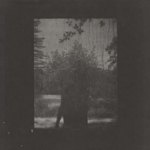 Grouper Ruins US vinyl LP album (LP record) (776254)