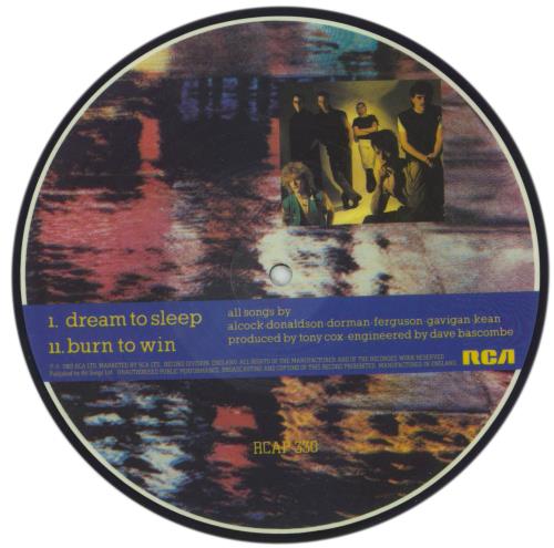 H2O Dream To Sleep 7" vinyl picture disc (7 inch picture disc single) UK H207PDR340997