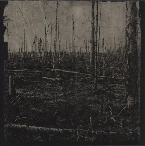 Hate Forest Scythia - Swamp Green Vinyl vinyl LP album (LP record) UK 6Y8LPSC868584