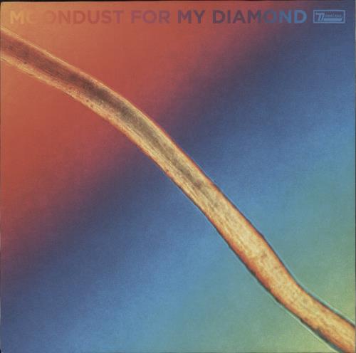 Hayden Thorpe Moondust For My Diamond vinyl LP album (LP record) UK 961LPMO874288