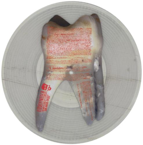 Holy Molar Holy Molar 10" Picture Disc (10 inch vinyl record) US 9P10PHO866110