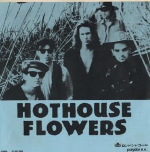 Hothouse Flowers Don't Go 7" vinyl single (7 inch record / 45) Japanese HOT07DO142014