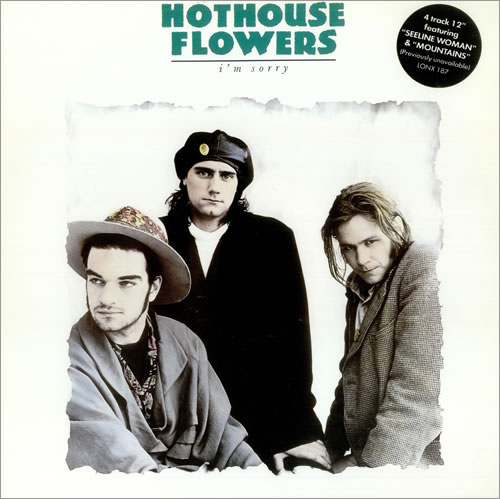 Hothouse Flowers I'm Sorry 12" vinyl single (12 inch record / Maxi-single) UK HOT12IM116306