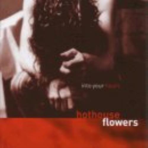 Hothouse Flowers Into Your Heart CD album (CDLP) UK HOTCDIN276980