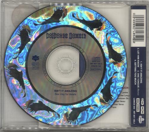 Hothouse Flowers Isn't It Amazing - Hologram Cd CD single (CD5 / 5") UK HOTC5IS98861