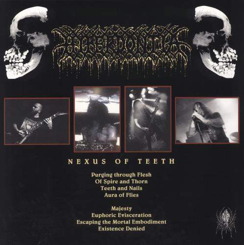 Hyperdontia Nexus Of Teeth vinyl LP album (LP record) UK 717LPNE841497
