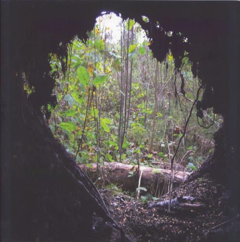 Hypothermia Gr�toner 12" vinyl single (12 inch record / Maxi-single) Swedish 40212GR781655