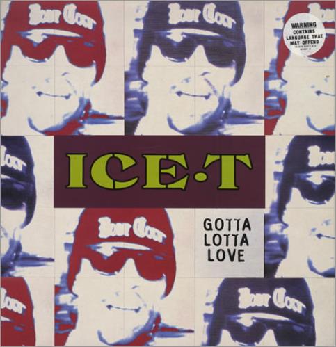 Ice T Gotta Lotta Love 12" vinyl single (12 inch record / Maxi-single) UK ICT12GO35761