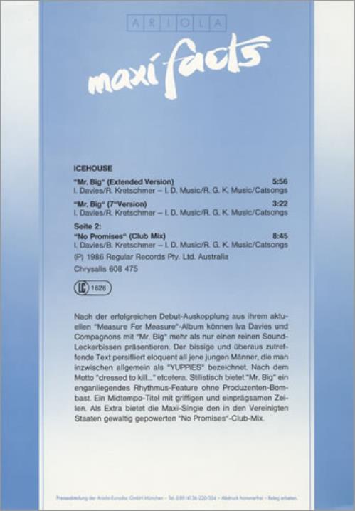 Icehouse Mr Big 12" vinyl single (12 inch record / Maxi-single) German ICE12MR404265