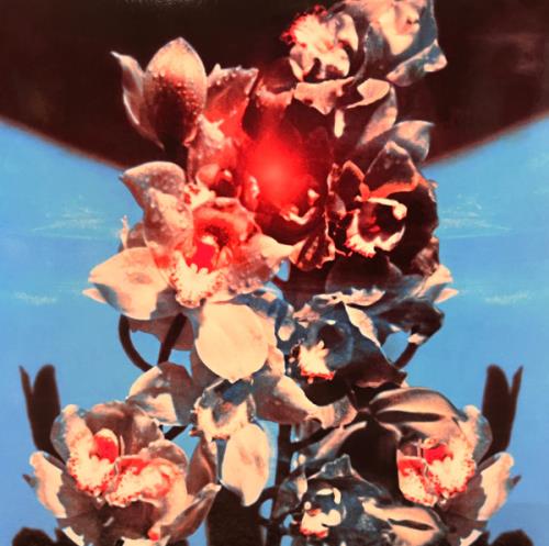 Inhaler Open Wide - Red & White Splatter Vinyl - Sealed vinyl LP album (LP record) UK 11TLPOP857892