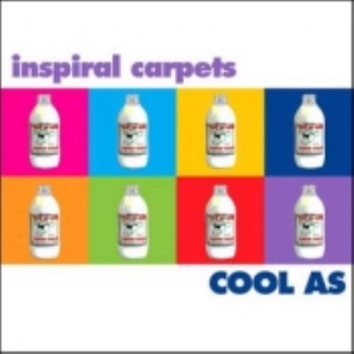 Inspiral Carpets Cool As 3-disc CD/DVD Set UK INS3DCO244107
