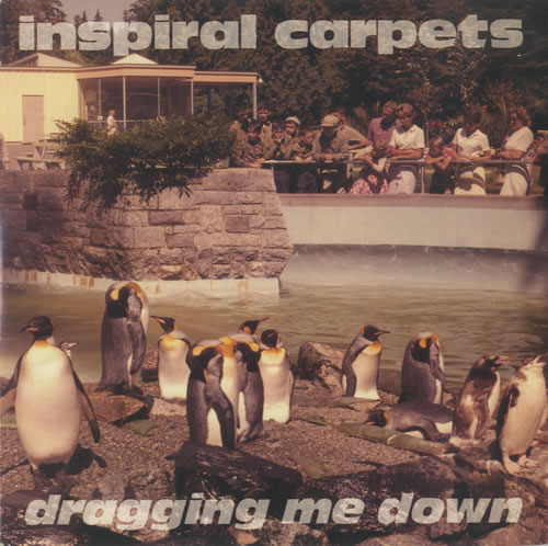 Inspiral Carpets Dragging Me Down 7" vinyl single (7 inch record / 45) UK INS07DR109961