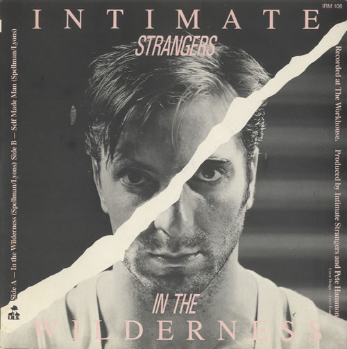 Intimate Strangers In The Wilderness 7" vinyl single (7 inch record / 45) UK IO207IN509671