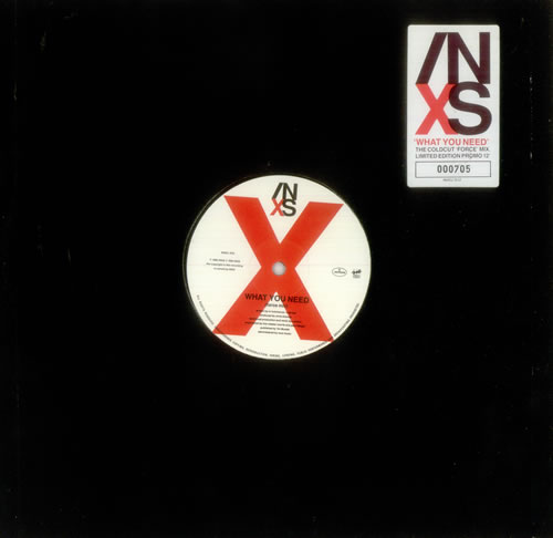 Inxs What You Need - Force Mix 12" vinyl single (12 inch record / Maxi-single) UK INX12WH06189