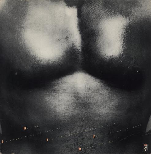 Isaac Hayes Hotbed vinyl LP album (LP record) US IHYLPHO886307