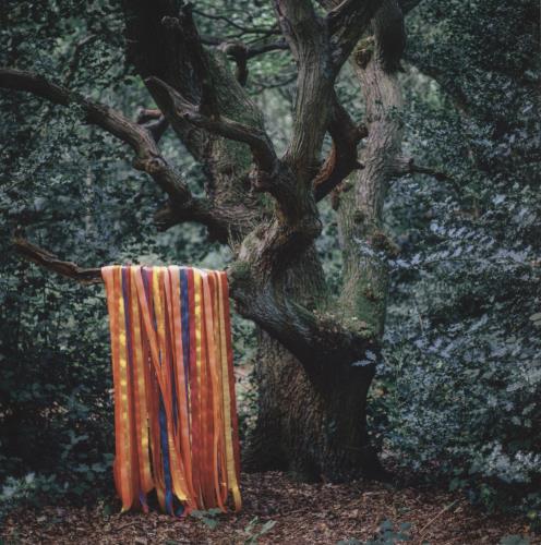 James Holden The Animal Spirits 2-LP vinyl record set (Double LP Album) UK 7AO2LTH861723