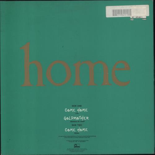 James Come Home 12" vinyl single (12 inch record / Maxi-single) UK JMS12CO108676