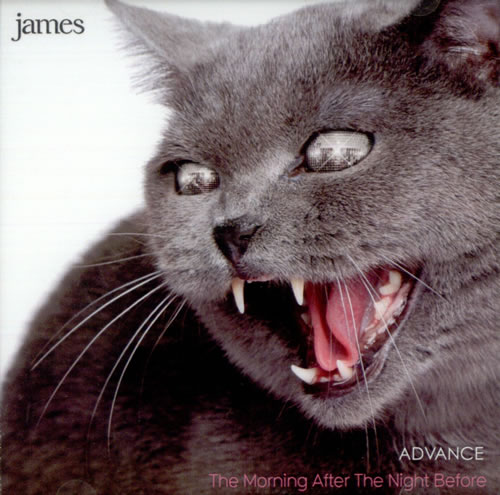 James The Morning After The Night Before CD-R acetate US JMSCRTH519788