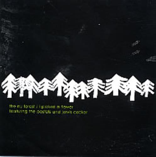 Jarvis Cocker I Picked A Flower CD single (CD5 / 5") European JVCC5IP251999