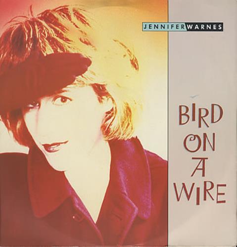 Jennifer Warnes Bird On A Wire 12" vinyl single (12 inch record / Maxi-single) UK JEN12BI375400
