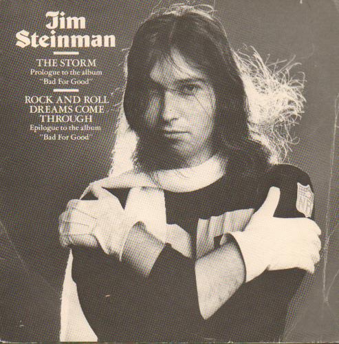 Jim Steinman The Storm - EX 7" vinyl single (7 inch record / 45) Dutch J-S07TH654280