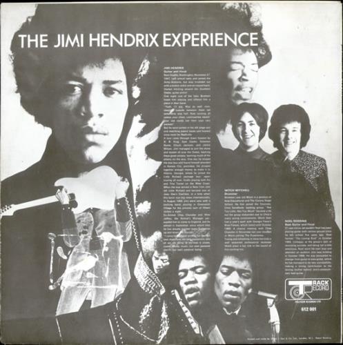 Jimi Hendrix Are You Experienced - 1st vinyl LP album (LP record) UK HENLPAR94591
