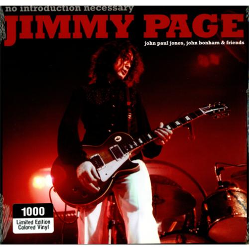 Jimmy Page No Introduction Necessary vinyl LP album (LP record) US JPALPNO418489