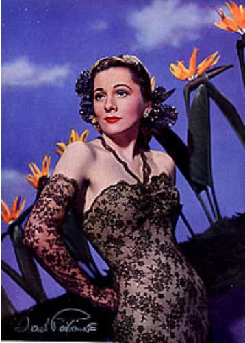 Joan Fontaine Autographed Picture memorabilia UK JF2MMAU268863