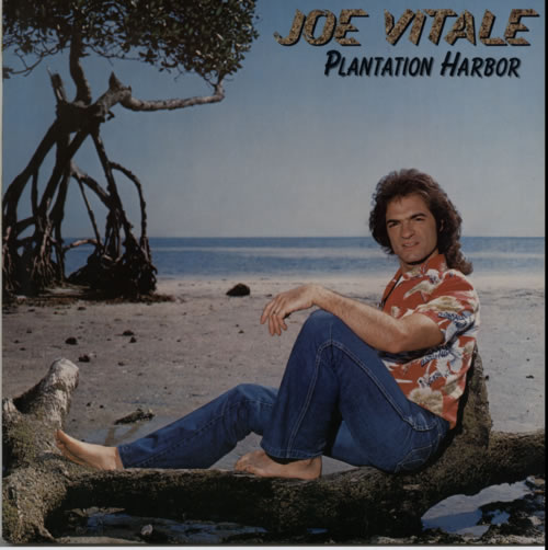 Joe Vitale Plantation Harbor vinyl LP album (LP record) US JDPLPPL624705