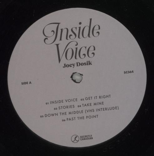 Joey Dosik Inside Voice vinyl LP album (LP record) US 79LLPIN887226