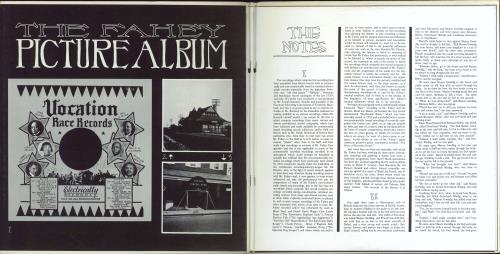 John Fahey The Voice Of The Turtle vinyl LP album (LP record) US J-FLPTH779816