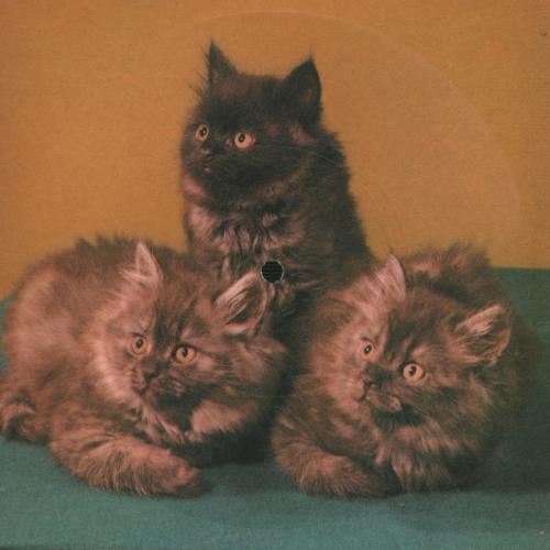 John Paul Young Love Is In The Air 7" vinyl single (7 inch record / 45) Polish JPY07LO644020