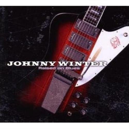 Johnny Winter Raised On Blues 2 CD album set (Double CD) UK JNW2CRA478960