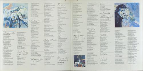 Joni Mitchell Wild Things Run Fast vinyl LP album (LP record) US JNILPWI808463