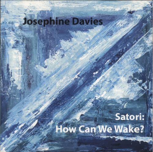 Josephine Davies Satori: How Can We Wake? vinyl LP album (LP record) UK 812LPSA857505