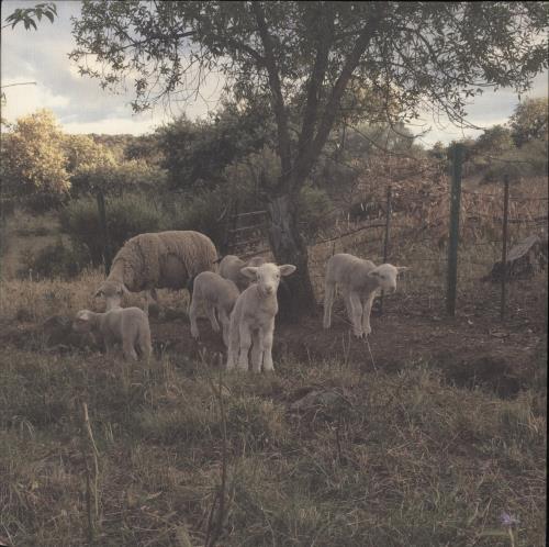 Josephine Foster No Harm Done vinyl LP album (LP record) UK QOXLPNO881805