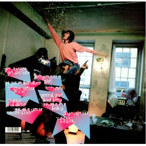 Junior Senior D-D-Don't Stop The Beat vinyl LP album (LP record) UK J/SLPDD235718