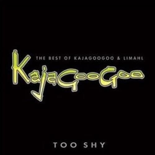 Kajagoogoo Too Shy: The Best Of 2-disc CD/DVD set UK KAJ2DTO482141