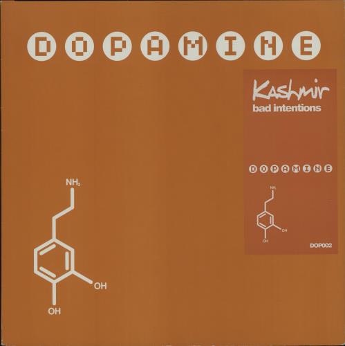 Kashmir Bad Intentions 12" vinyl single (12 inch record / Maxi-single) UK KAH12BA680945
