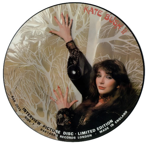 Kate Bush Interview Picture Disc picture disc LP (vinyl picture disc album) UK BUSPDIN34728