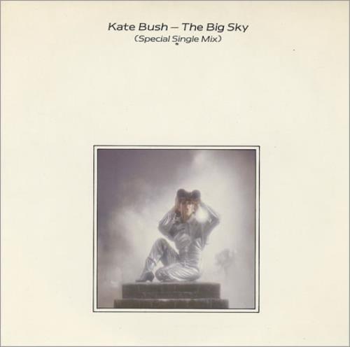 Kate Bush The Big Sky (Special Single Mix) 7" vinyl single (7 inch record / 45) UK BUS07TH38696