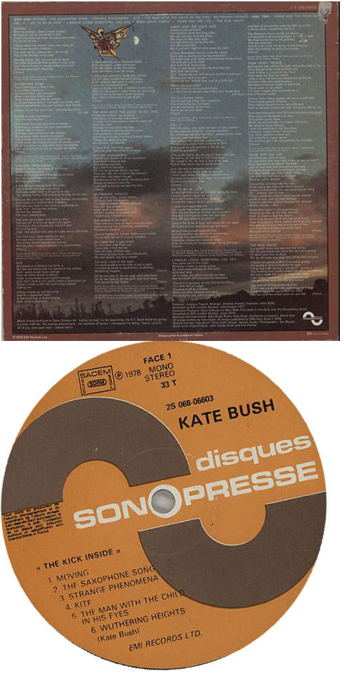 Kate Bush The Kick Inside vinyl LP album (LP record) French BUSLPTH584739