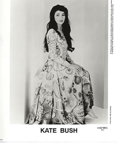 Kate Bush The Red Shoes media press pack US BUSPPTH313215