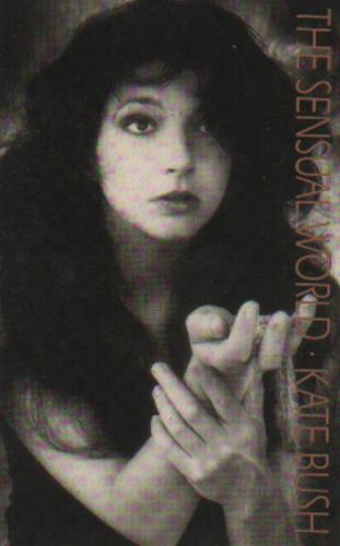 Kate Bush The Sensual World cassette single UK BUSCSTH129136