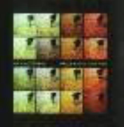 Kathryn Williams Little Black Numbers CD album (CDLP) European KWMCDLI161897